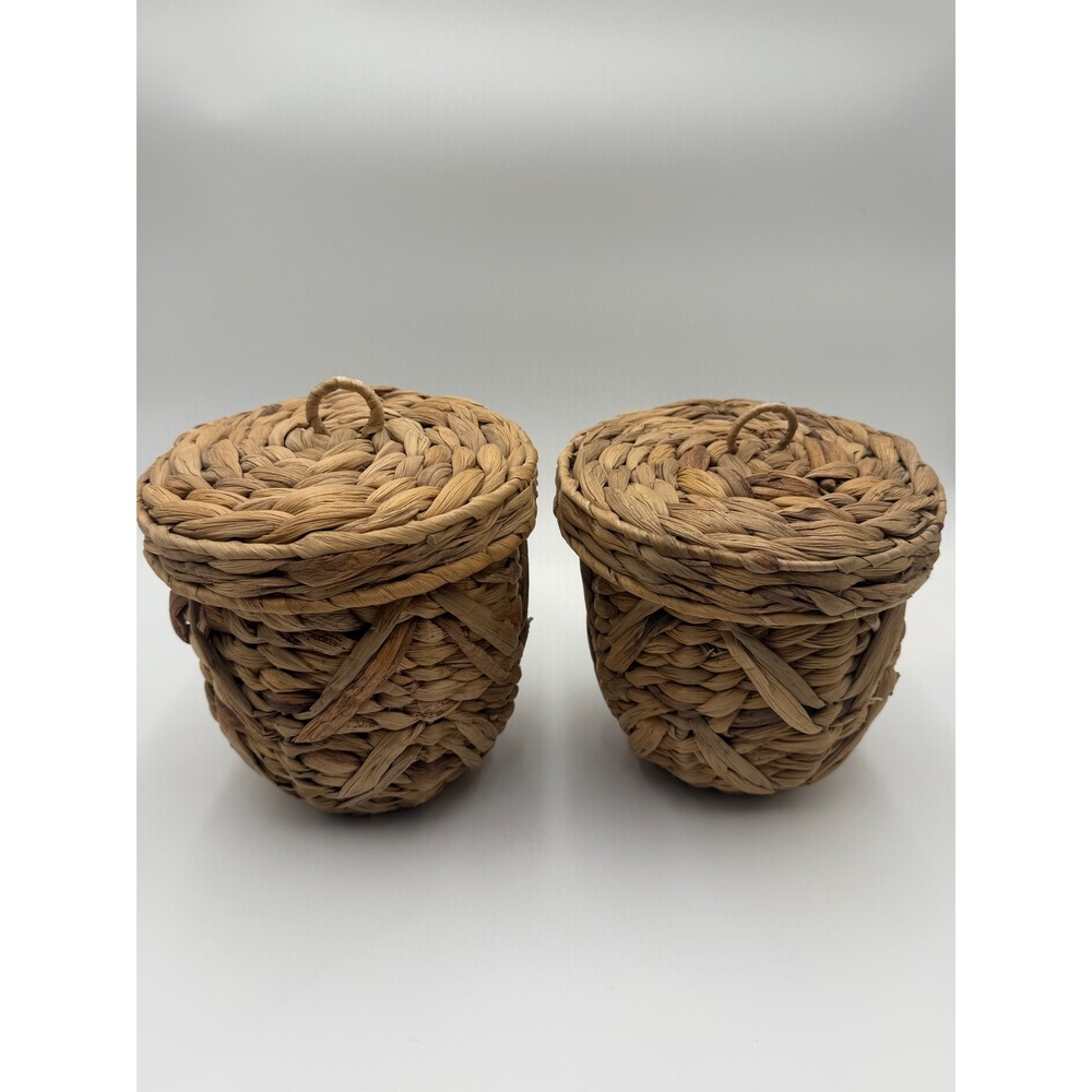 Set of 2 Woven Seagrass Baskets with Lids and Plastic Liners Natural Brown